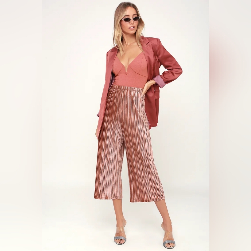 NWOT Dance Party Rusty Rose Pleated Velvet Culottes